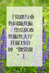 党建与业务同频共振：岱岳区政务服务大厅开展15分钟“微党课”