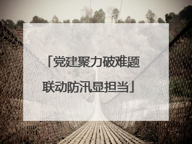 党建聚力破难题 联动防汛显担当