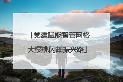 党建赋能智管网格 大樱桃闪耀振兴路