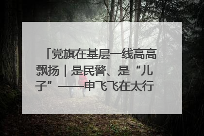 党旗在基层一线高高飘扬｜是民警、是“儿子”——申飞飞在太行山中的一线坚守