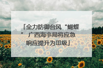 全力防御台风“蝴蝶” 广西海事局将应急响应提升为Ⅲ级