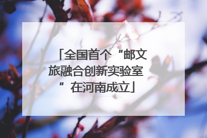 全国首个“邮文旅融合创新实验室”在河南成立