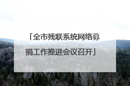 全市残联系统网络募捐工作推进会议召开