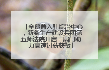 全覆盖入驻综治中心，新疆生产建设兵团第五师法院开启一扇门助力高速讨薪获赞