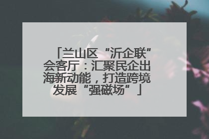 兰山区“沂企联”会客厅：汇聚民企出海新动能，打造跨境发展“强磁场”