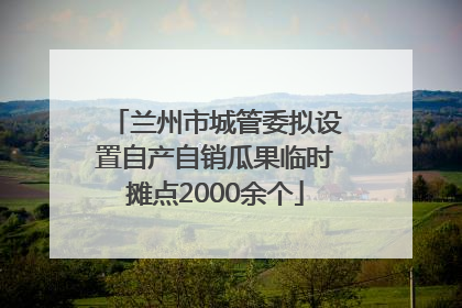 兰州市城管委拟设置自产自销瓜果临时摊点2000余个