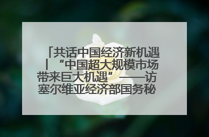 共话中国经济新机遇丨“中国超大规模市场带来巨大机遇”——访塞尔维亚经济部国务秘书尼科利奇