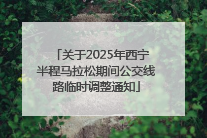 关于2025年西宁半程马拉松期间公交线路临时调整通知