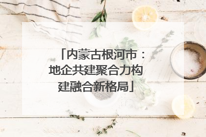 内蒙古根河市：地企共建聚合力构建融合新格局