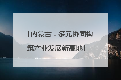 内蒙古：多元协同构筑产业发展新高地