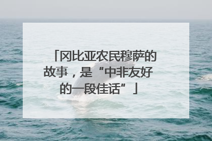 冈比亚农民穆萨的故事，是“中非友好的一段佳话”