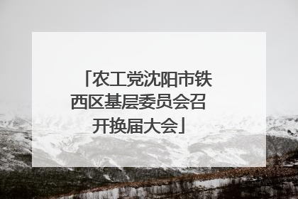 农工党沈阳市铁西区基层委员会召开换届大会