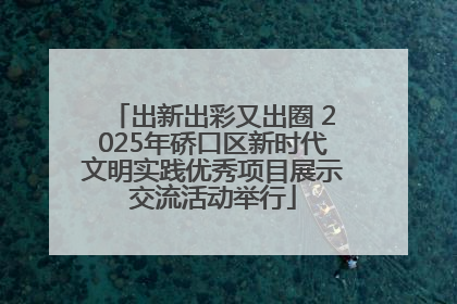 出新出彩又出圈 2025年硚口区新时代文明实践优秀项目展示交流活动举行