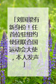 刘国梁有新身份！任首位驻纽约使团联合国运动会大使，本人发声