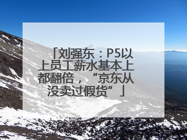刘强东：P5以上员工薪水基本上都翻倍，“京东从没卖过假货”