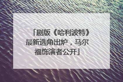 剧版《哈利波特》最新选角出炉，马尔福饰演者公开