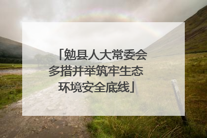 勉县人大常委会多措并举筑牢生态环境安全底线