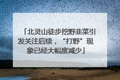 北灵山徒步挖野韭菜引发关注后续，“打野”现象已经大幅度减少