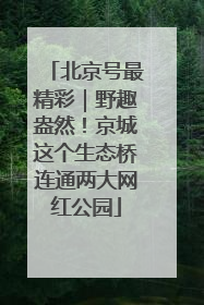 北京号最精彩｜野趣盎然！京城这个生态桥连通两大网红公园