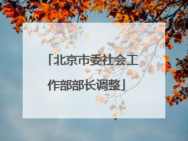 北京市委社会工作部部长调整