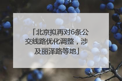 北京拟再对6条公交线路优化调整，涉及丽泽路等地