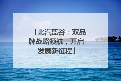 北汽蓝谷：双品牌战略领航，开启发展新征程