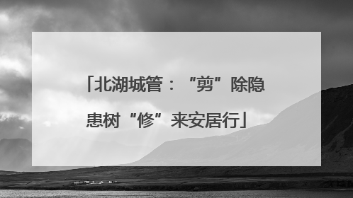 北湖城管：“剪”除隐患树“修”来安居行