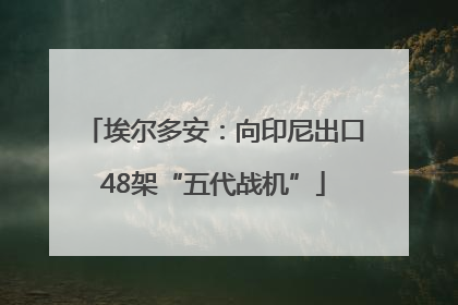 埃尔多安：向印尼出口48架“五代战机”