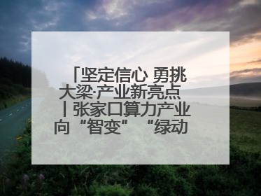 坚定信心 勇挑大梁·产业新亮点丨张家口算力产业向“智变”“绿动”跃升