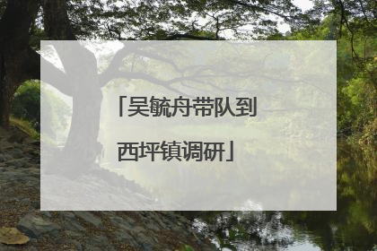 吴毓舟带队到西坪镇调研