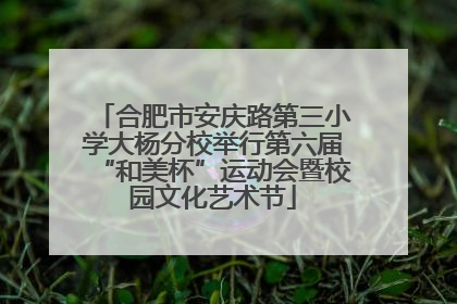 合肥市安庆路第三小学大杨分校举行第六届“和美杯”运动会暨校园文化艺术节