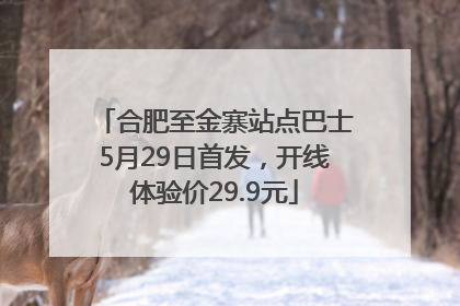 合肥至金寨站点巴士5月29日首发，开线体验价29.9元