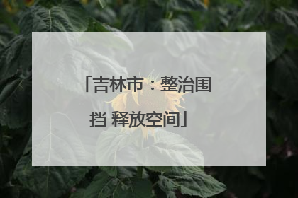吉林市：整治围挡 释放空间
