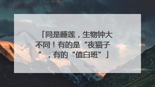 同是睡莲，生物钟大不同！有的是“夜猫子”，有的“值白班”