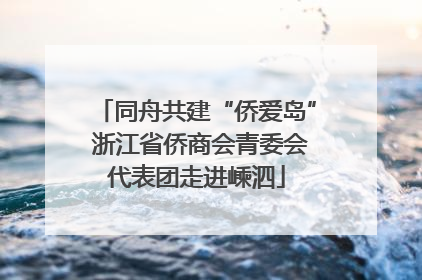 同舟共建“侨爱岛” 浙江省侨商会青委会代表团走进嵊泗