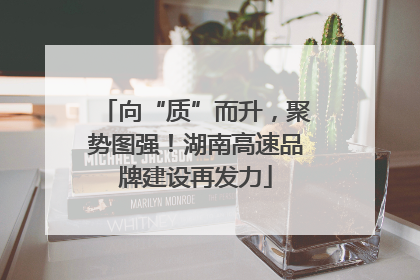 向“质”而升，聚势图强！湖南高速品牌建设再发力