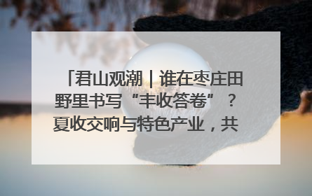 君山观潮｜谁在枣庄田野里书写“丰收答卷”？夏收交响与特色产业，共绘乡村振兴新图景