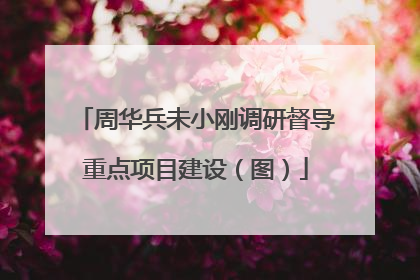 周华兵未小刚调研督导重点项目建设（图）