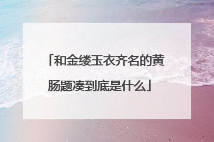和金缕玉衣齐名的黄肠题凑到底是什么
