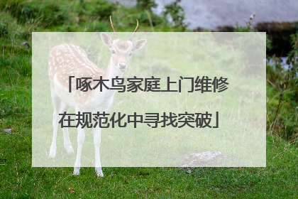 啄木鸟家庭上门维修在规范化中寻找突破