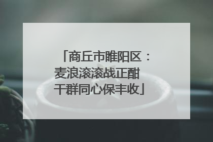 商丘市睢阳区：麦浪滚滚战正酣 干群同心保丰收