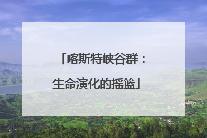 喀斯特峡谷群：生命演化的摇篮