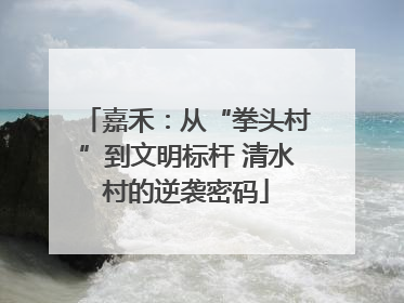 嘉禾：从“拳头村”到文明标杆 清水村的逆袭密码