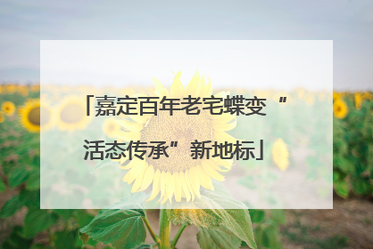 嘉定百年老宅蝶变“活态传承”新地标
