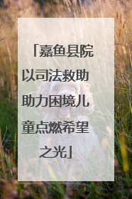 嘉鱼县院以司法救助助力困境儿童点燃希望之光