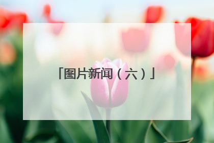 图片新闻（六）