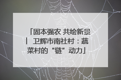 固本强农 共绘新景 ︳卫辉市南社村：蔬菜村的“链”动力