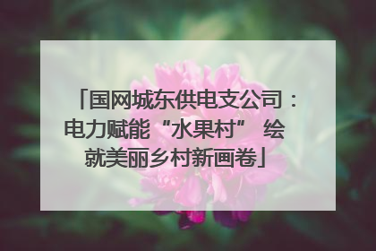 国网城东供电支公司：电力赋能“水果村” 绘就美丽乡村新画卷
