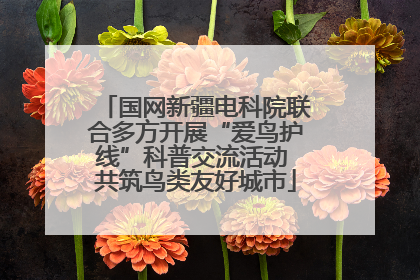 国网新疆电科院联合多方开展“爱鸟护线”科普交流活动 共筑鸟类友好城市