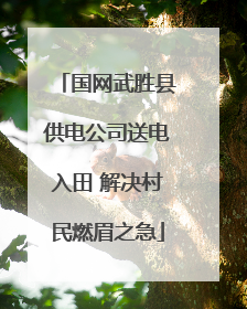 国网武胜县供电公司送电入田 解决村民燃眉之急